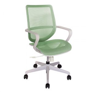 Silla Evolution  OHE-99GRIS