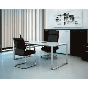 Centuria – Conjunto directivo 2