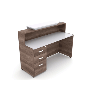 Recepción Mod. Lugo